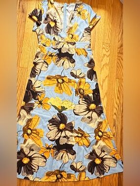 Gorgeous Retro Dress